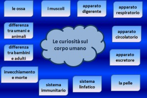 Il corpo umano