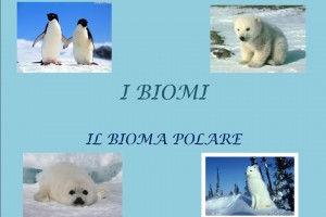 I biomi