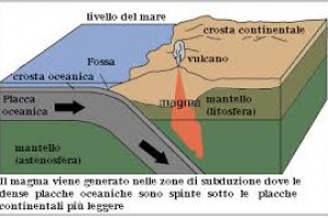 LA TETTONICA A ZOLLE a cura di Michele Gramigna I B