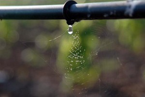 I sistemi di irrigazione in agricoltura a cura di Gian Luigi Bartolini 1 b