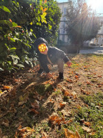 Sensazioni d’autunno, immergiamoci nell’autunno