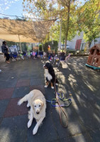 Laboratorio "AMICO DEL CANE"